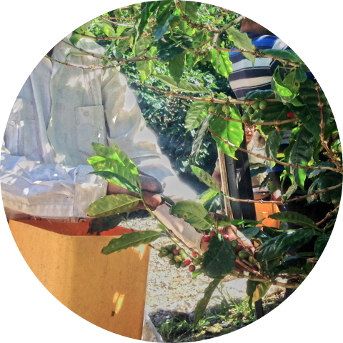 フェアトレードの画像